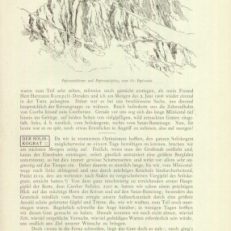 Skizzen aus der Hohen Tatra.