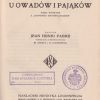 Dziwy instynktu u owadów i pająków.