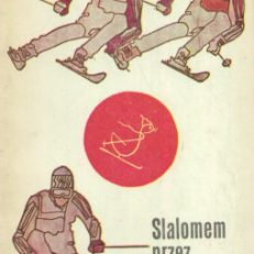 SLALOMEM przez świat