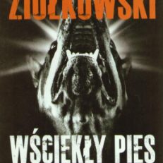 Wściekły pies.