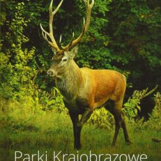 PARKI Krajobrazowe Zespołu Parków Krajobrazowych w Krośnie.