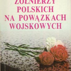 Mogiły żołnierzy polskich na Powązkach Wojskowych. Przewodnik-informator historyczny.