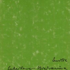 Emilia Sukertowa-Biedrawina 1887 – 1970. Zarys biograficzny.