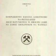 KOMPLEKSOWE badania górotworu na przykładzie akcji ratunkowej w Smoczej Jamie na Zamku Królewskim na Wawelu.