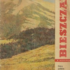 Bieszczady. Góry polskie w panoramie
