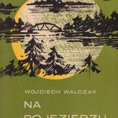 Na Pojezierzu Fińskim
