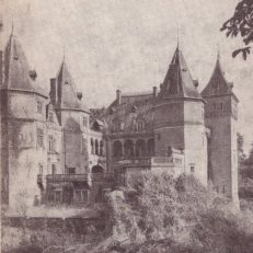 Zamek  w Gołuchowie.