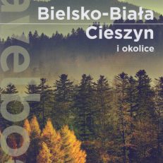 BIELSKO-Biała, Cieszyn i okolice.