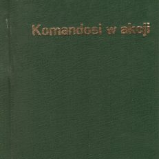 Komandosi w akcji.