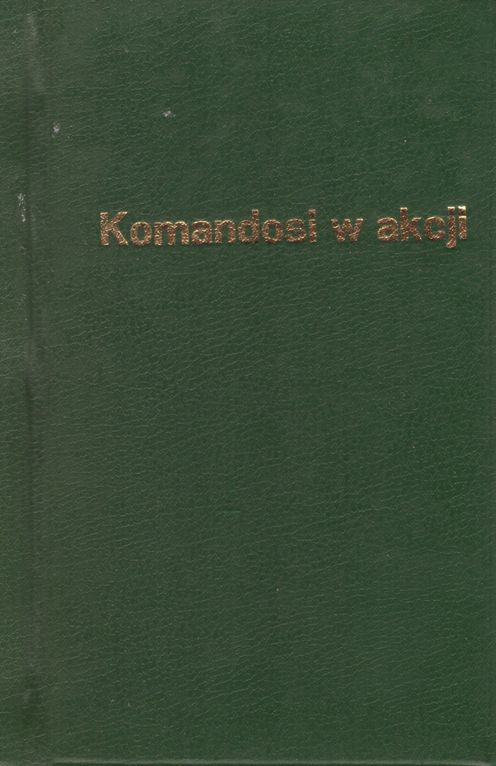 Komandosi w akcji.