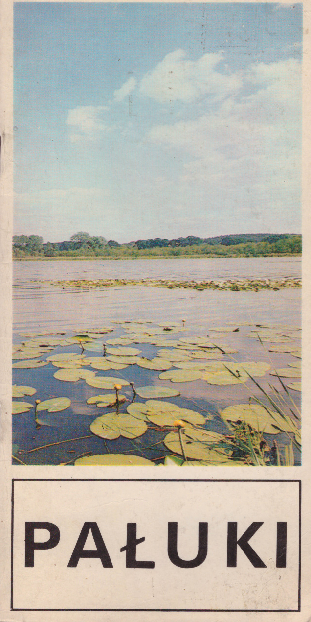 Pałuki