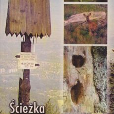 Ścieżka przyrodniczo-leśna Czantoria.