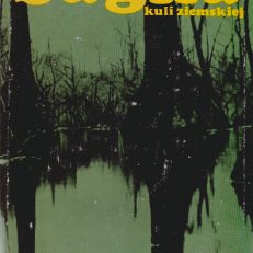 Bagna kuli ziemskiej.