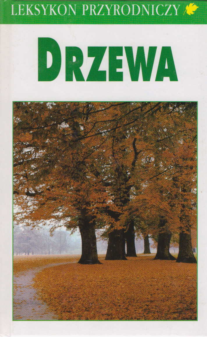 Drzewa.