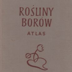 Rośliny borów