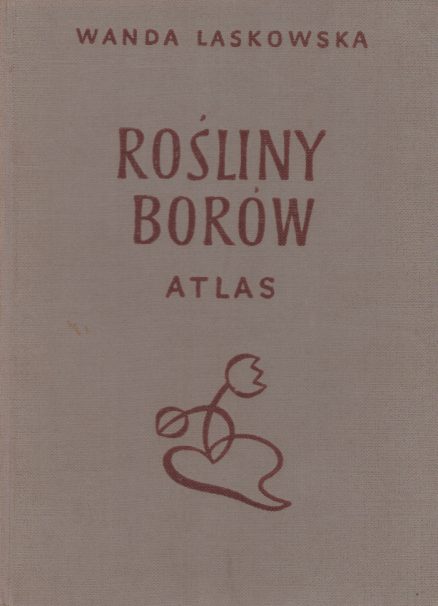 Rośliny borów