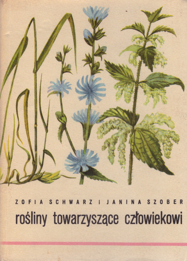 Rośliny towarzyszące człowiekowi