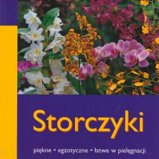Storczyki. Piękne, egzotyczne, łatwe w pielęgnacji.