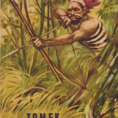 Tomek wśród łowców głów. Wydanie II.