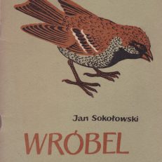 Wróbel.