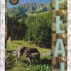 PŁAJ. Almanach Karpacki. Półrocznik Towarzystwa Karpackiego.