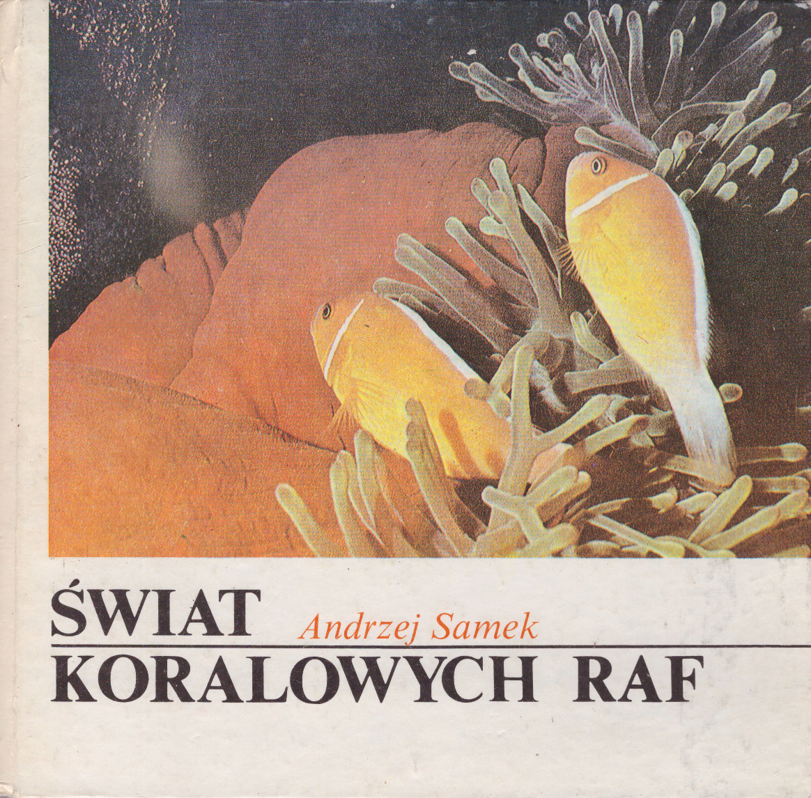 Świat koralowych raf.