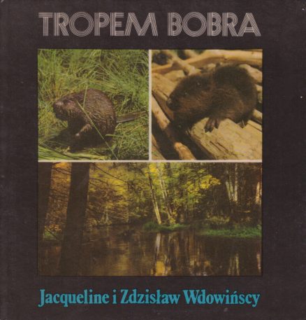 Tropem bobra.