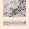 Le printemps dans les Hautes Tatras. Impressions. Dessins. Peintures - obrazek 5
