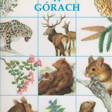 ŻYCIE w górach
