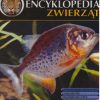 WIELKA encyklopedia zwierząt. - obrazek 2