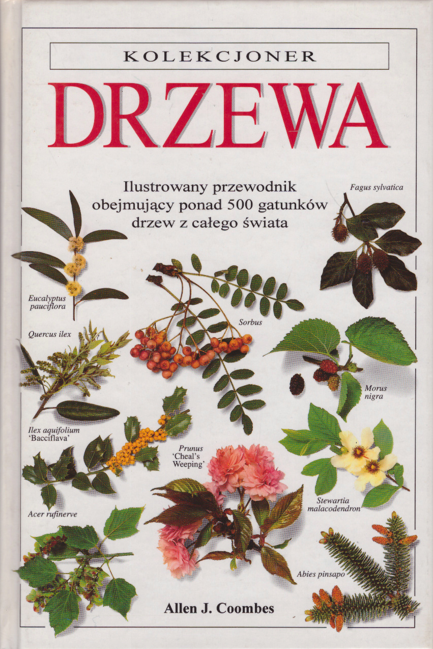 Drzewa Ilustrowany Przewodnik Obejmujący Ponad 500 Gatunków Drzew Z Całego świata 3827