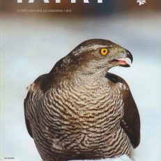 TATRY. Dvojmesačnik o krasach tatranskej prirody, jej ochrane, starostlivosti o lesne ekosystemy, turistike, športe a cestovnom ruchu v TANAP-e. Zeszyty z lat 1992-2020.