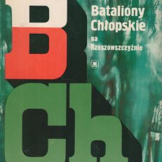 Bataliony Chłopskie na Rzeszowszczyźnie. Dokumenty, relacje, wspomnienia.