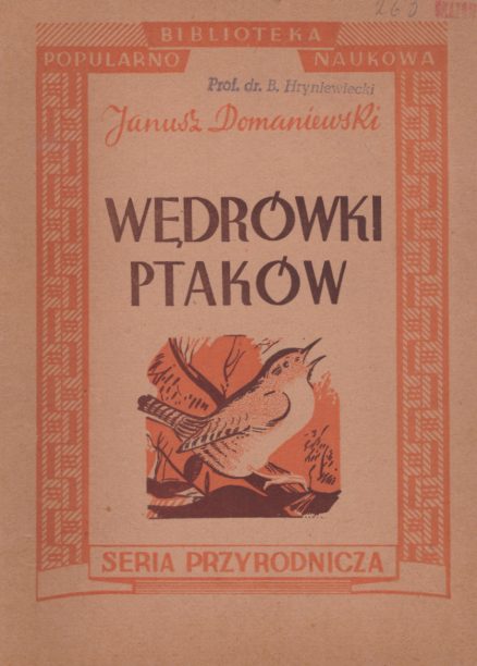 Wędrówki ptaków.