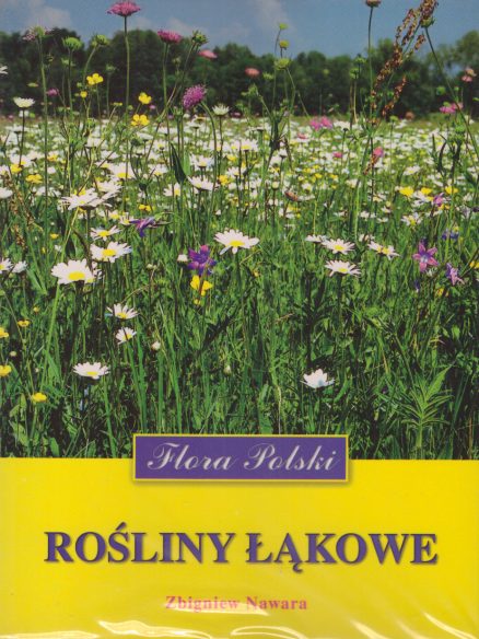 Rośliny łąkowe.