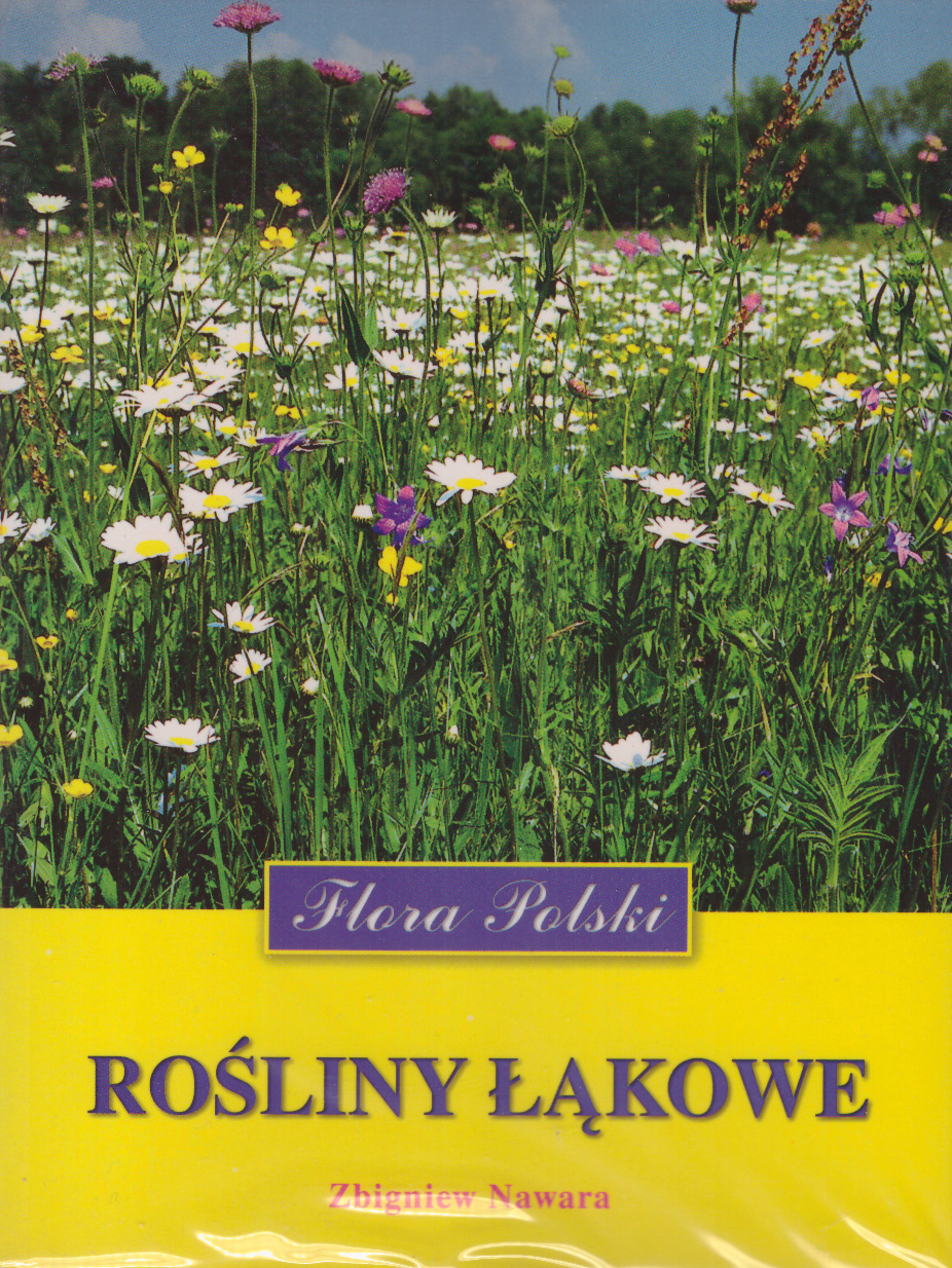 Rośliny łąkowe.