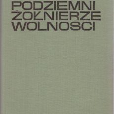 Podziemni żołnierze wolności. Wspomnienia dowódcy oddziału partyzanckiego BCh.