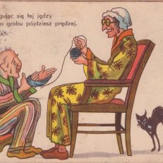 WYSŁUGUJĄC się tej jędzy / Sam do grobu pójdziesz prędzej. Wielobarwna, humorystyczna kartka pocztowa.