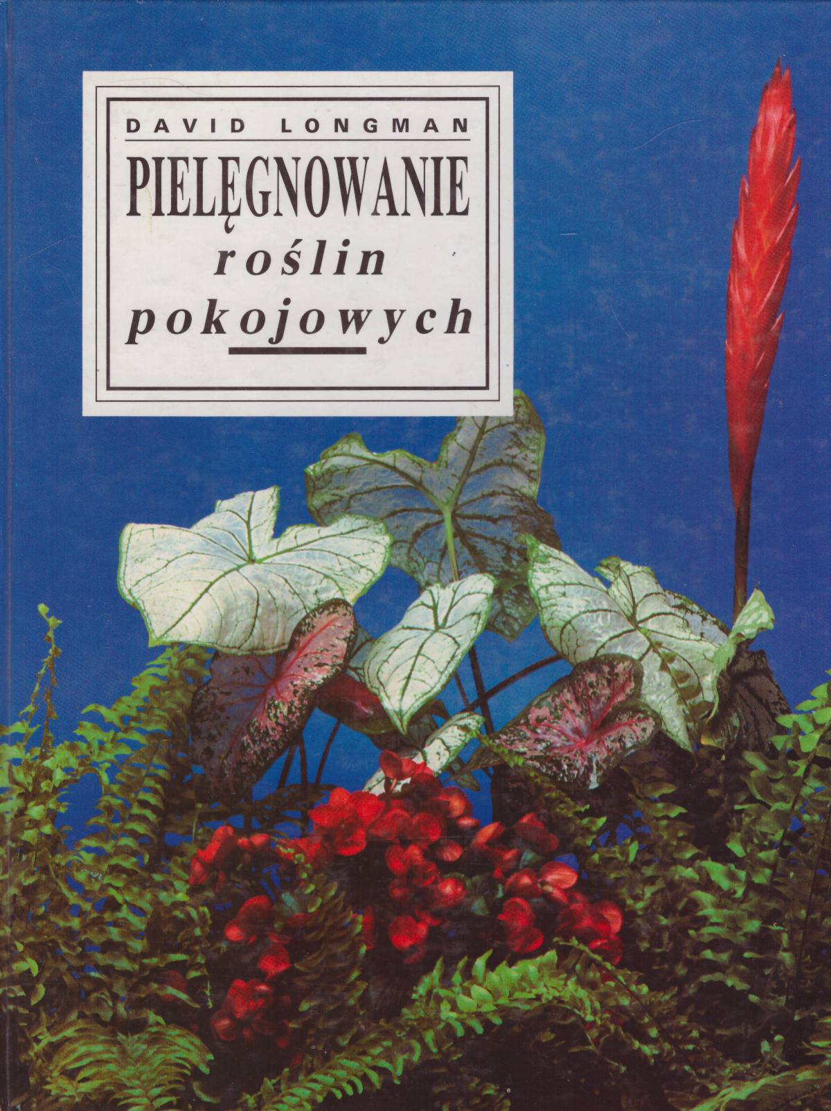 Pielęgnowanie roślin pokojowych. Wydanie IV.