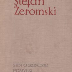 Sen o szpadzie. Pomyłki.
