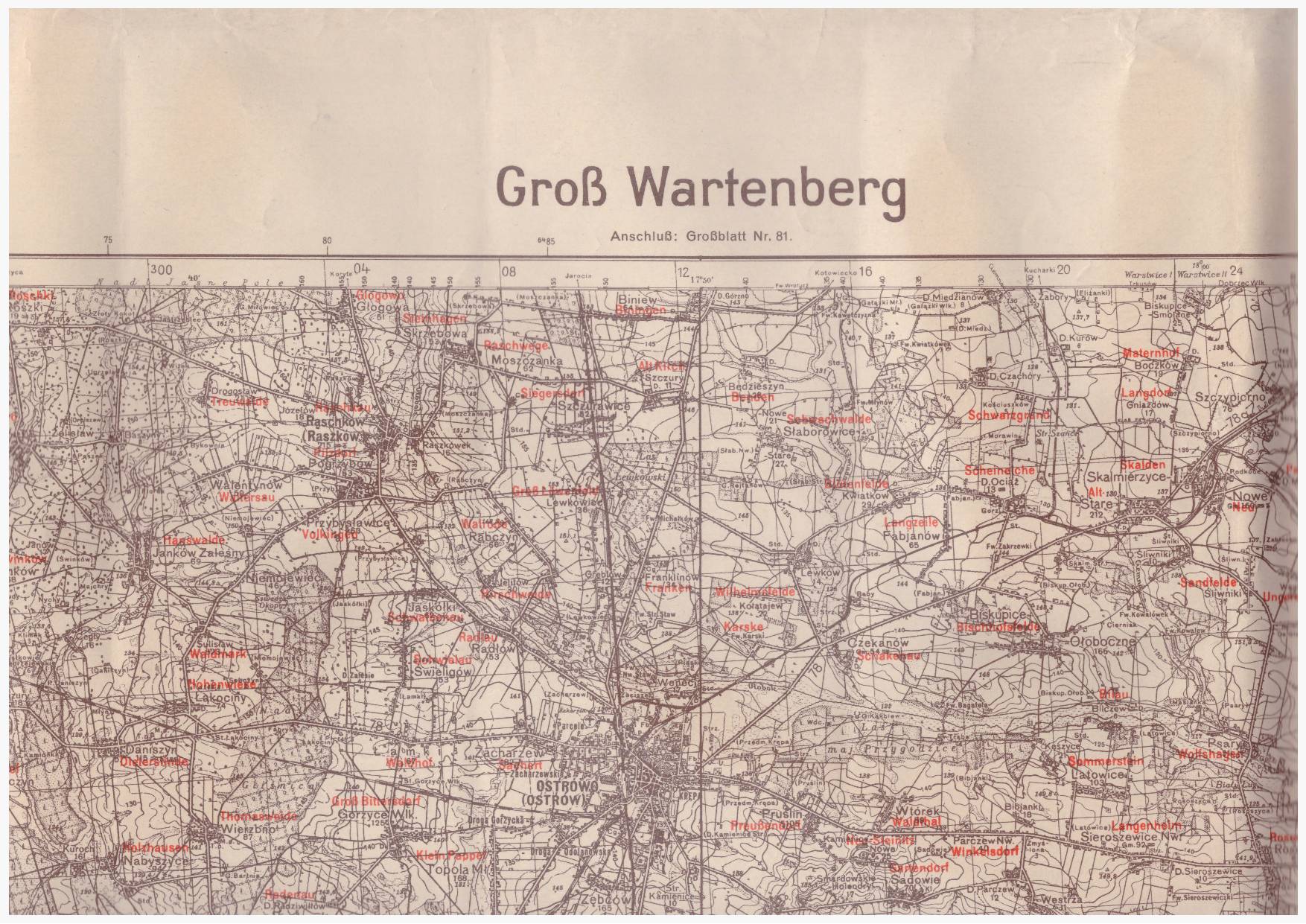 GROSS Wartenberg /SYCÓW/. Grossblatt 93.