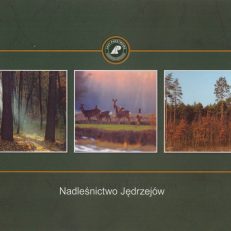 NADLEŚNICTWO Jędrzejów.