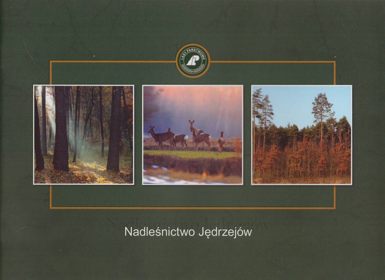 NADLEŚNICTWO Jędrzejów.