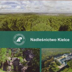 NADLEŚNICTWO Kielce.