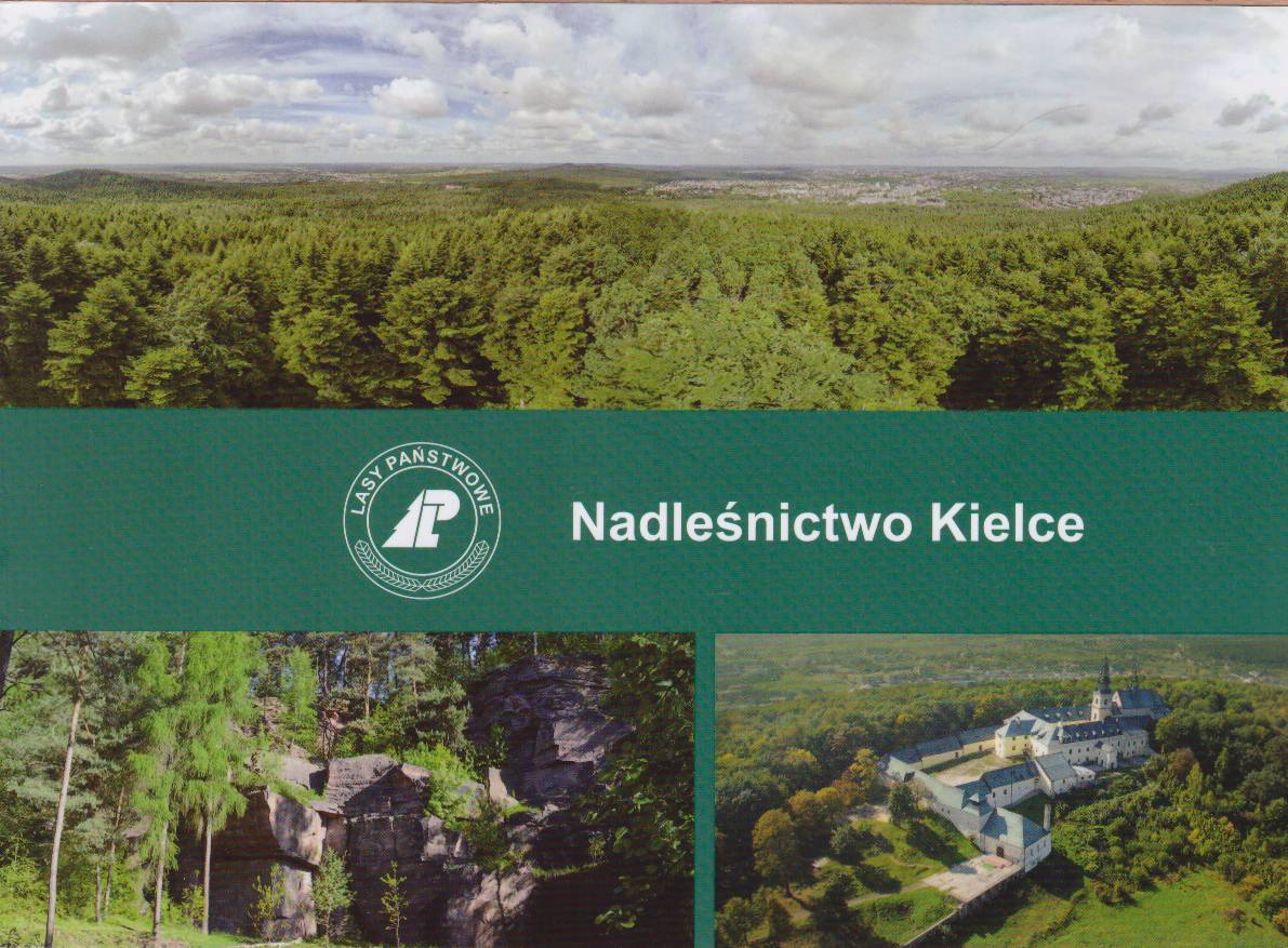 NADLEŚNICTWO Kielce.