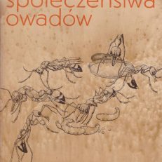 Społeczeństwa owadów.