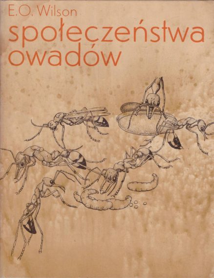 Społeczeństwa owadów.