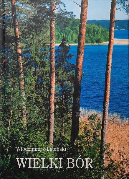 Wielki bór.