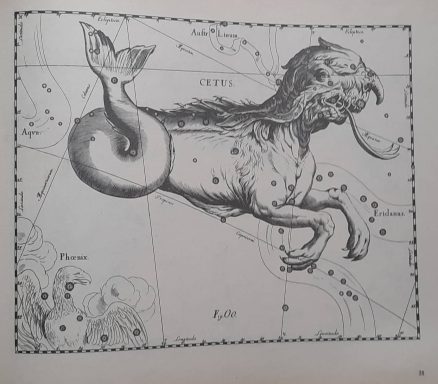 Jan Hevelius. The Star Atlas. The Third edition revised. - obrazek 3