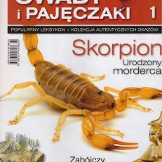 OWADY i PAJĘCZAKI. Popularny leksykon + Kolekcja autentycznych okazów.